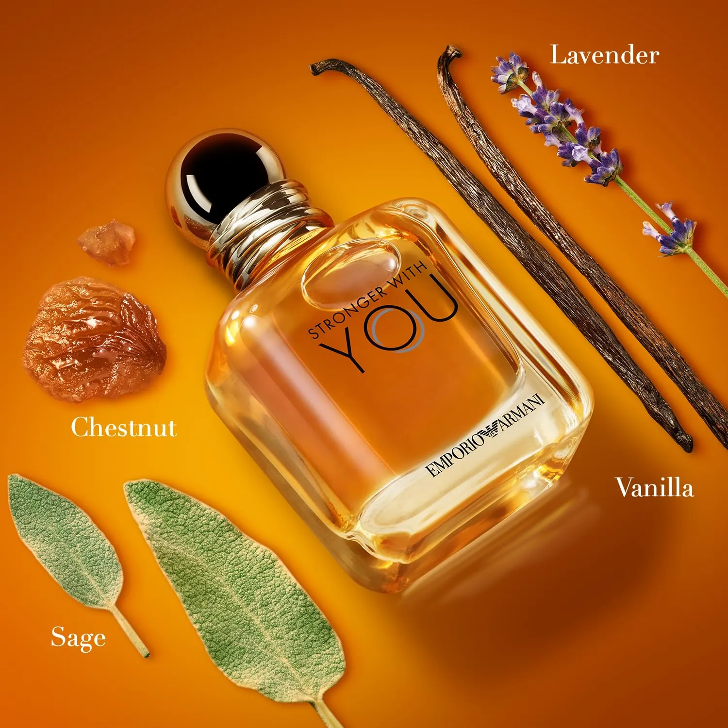 Armani Stronger With You fragrance notes with chestnut lavender sage and vanilla