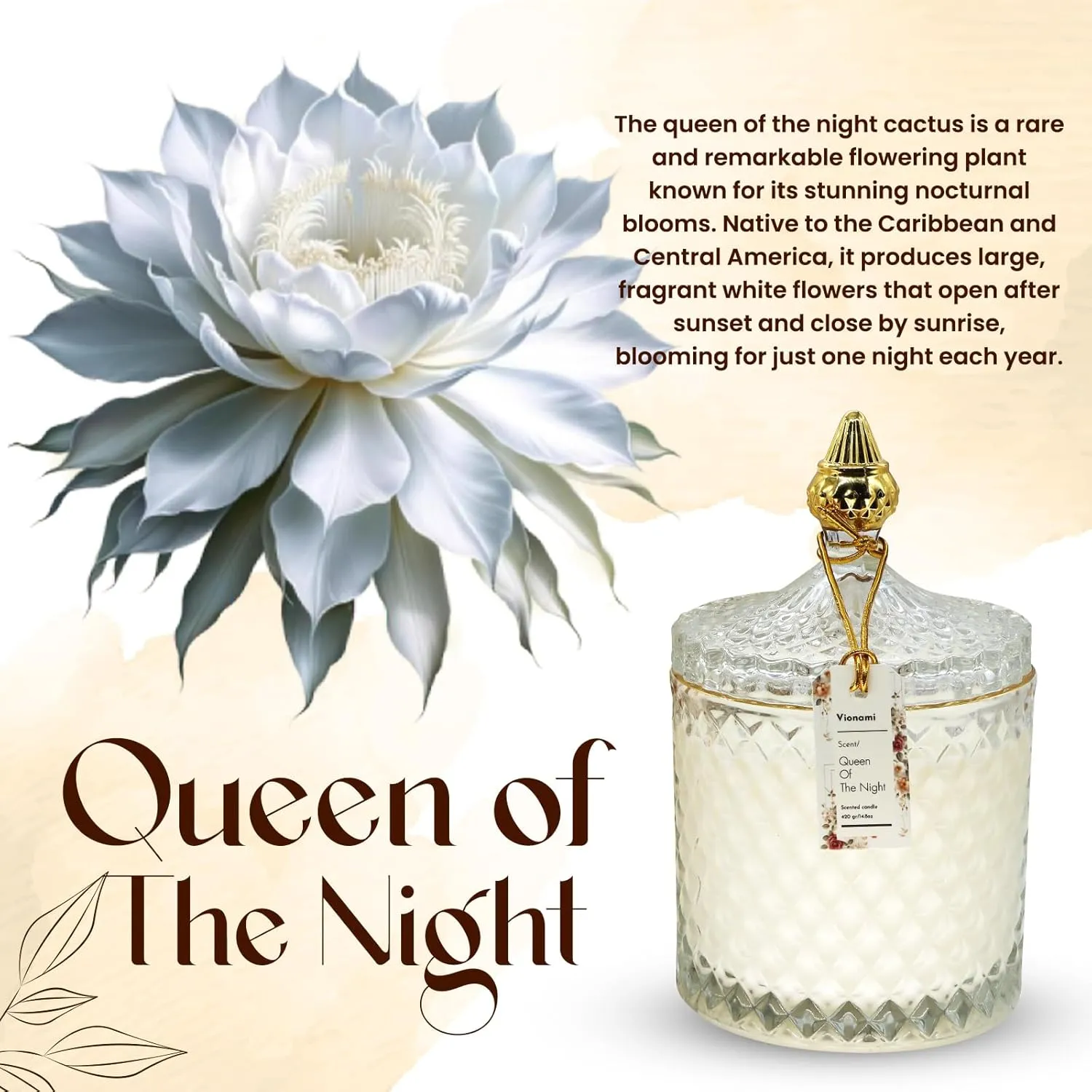 Candle warmer lamp creating warm room ambience