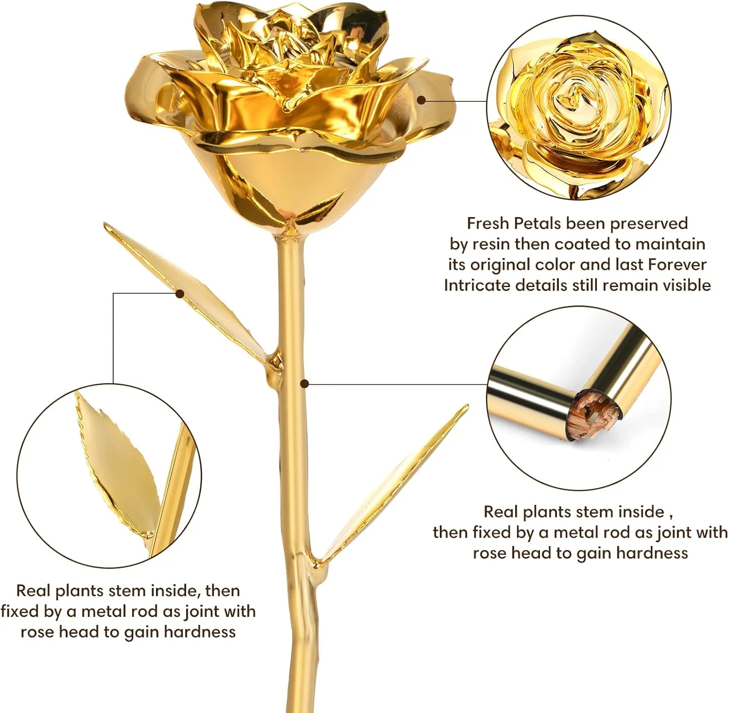 Gold dipped rose gift box presentation