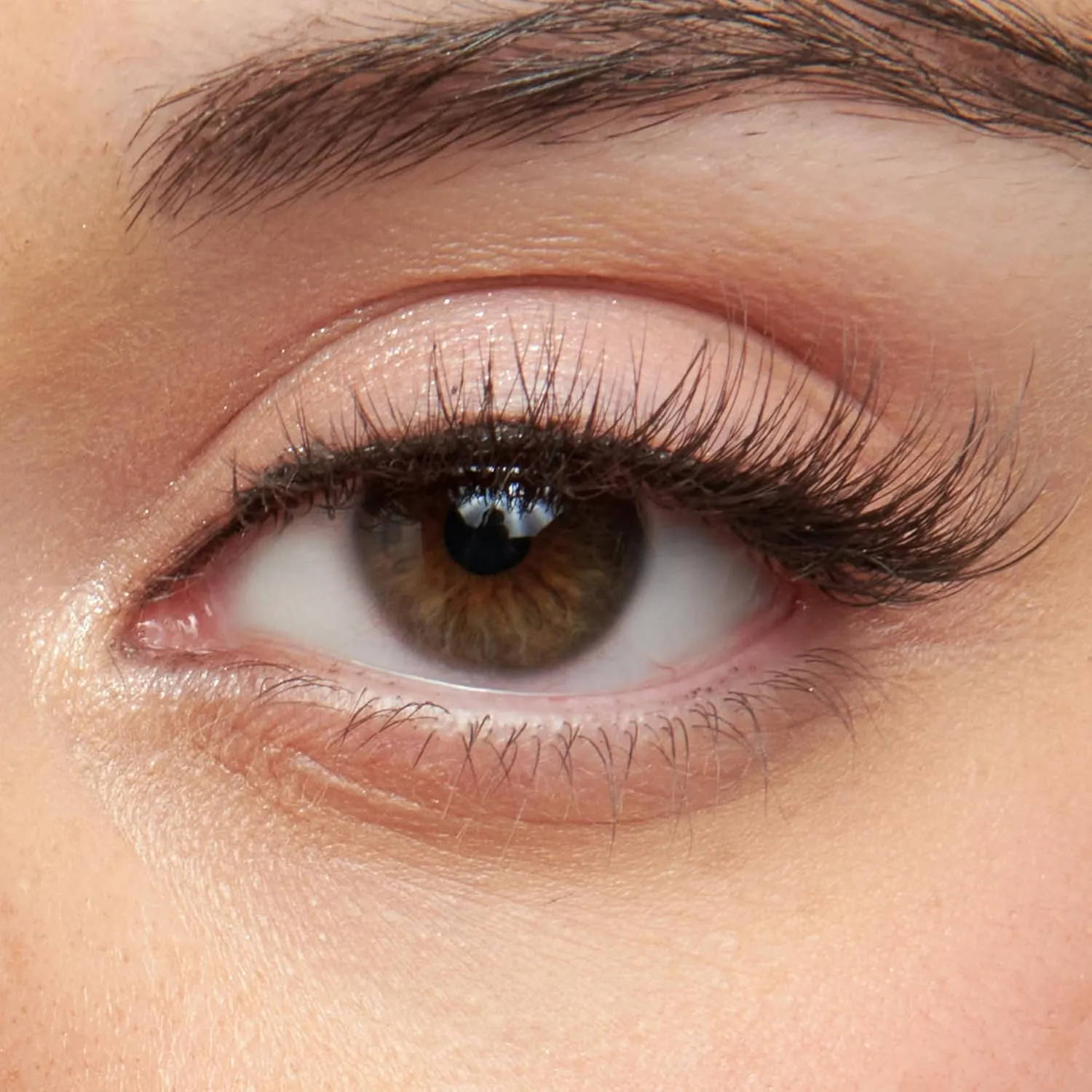 Close-up eye wearing KISS So Wispy natural-looking false eyelashes